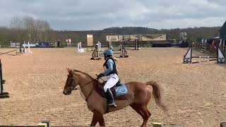 Eland Lodge arena eventing championships 2024  60cm [upl. by Reffinnej]