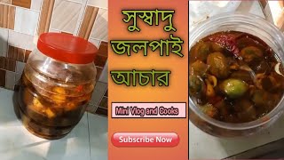 দেখুন কিভাবে একদিনেই জলপাই আচার তৈরি 😋  Kivabe Jolpai Achar banano jay  Recipe [upl. by Zenia]