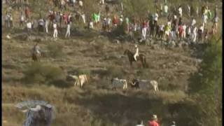 ENCIERRO EN BRIHUEGA POR EL CAMPO [upl. by Enirok79]