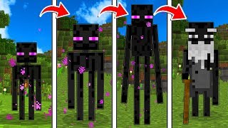 LIFE OF A MINECRAFT ENDERMAN [upl. by Frangos744]