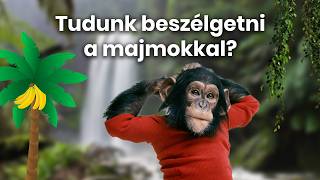 Tudunk beszélgetni a majmokkal🐒 [upl. by Osber]