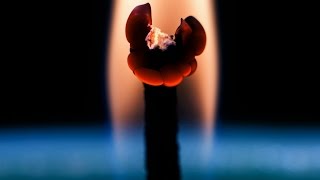 BURNING CANDLE TIMELAPSE [upl. by Intruok]