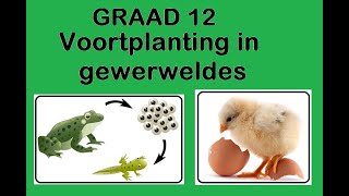 Lewenswetenskappe GR12 Voortplanting in gewerweldes [upl. by Ainollopa]