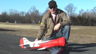 DYNAM GEEBEE WITH KILLER PLANES CRASHPROOFING [upl. by Landrum]