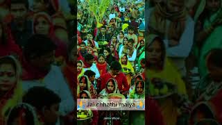 Happy chhath Puja 🙏💫❤️ 7112024 shorts special status video 💐💐 Jai chhathi maiya 🙏🙏🙏🙏🙏🙏🙏🙏 [upl. by Nilrah]