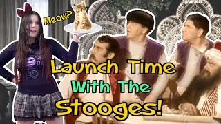 First Time I React To THE THREE STOOGES Malice In The Palace THE THREE STOOGES Reaction [upl. by Linnie225]