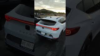 Corvette VS Cupra Los MOCHIS SINALOA 😎👌🏼 [upl. by Nnylatsirk]