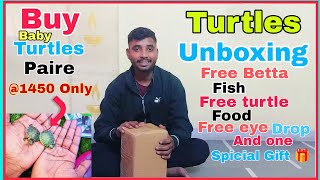 Turtle unboxing 🐢 Baby Red eared slider turtle unboxing betta fish unboxingfree turtle food [upl. by Anayi]