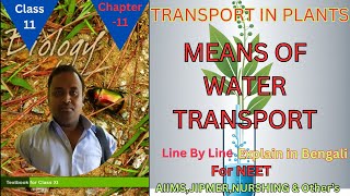 class 11biology chapter 11 transport in plants Harunbiozone [upl. by Benito61]