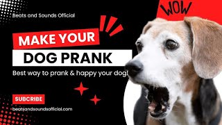 Make Your Dog Prank amp Happy  Beats and Sounds Official [upl. by Ahtnamys604]