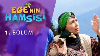 Egenin Hamsisi 1 Bölüm [upl. by Wilek]