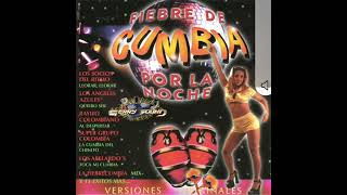 Fiebre de cumbia por la noche 1 [upl. by Elacim903]