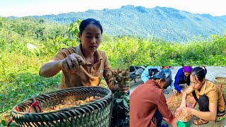 Harvesting peanuts bringing them to the market to sell and making a vegetable garden  Lý Thị Viện [upl. by Ellehcen]