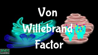 Von Willebrand Factor  vWF  Test For Von Willebrand Factor  Von Willebrand Disease  VWD [upl. by Seavir]