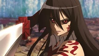 Akame Ga Kill Episode 24 ReviewReaction Akame vs Esdeath more deaths amp Finale [upl. by Tiossem]