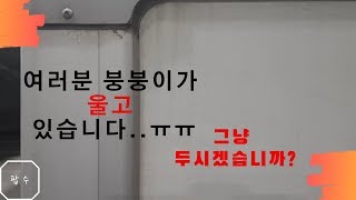 여러분의 차가울고있습니다ㅠㅠ  페인트 클리너 사용법  페클  봄철 필수 [upl. by Durrace]