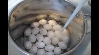 Easter at Home How To Hard Boil Perfect Easter Eggs [upl. by Ariajay111]