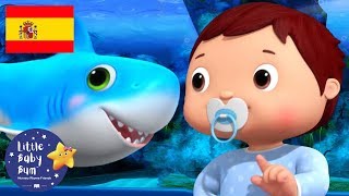 Canciones Infantiles  El Baile de Bebé Tiburón  Dibujos Animados  Little Baby Bum en Español [upl. by Nehtanhoj404]