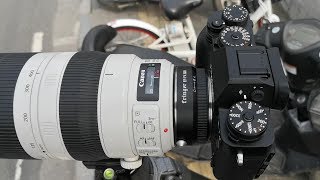 Canon EF100400LII and EF70200LII on Fujifilm XT2 AFC tracking demo Fringer EFFX Pro [upl. by Cloots521]