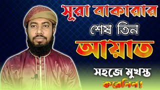 surah bakarar sesh 2 ayat  সূরা বাকারার শেষ দুই আয়াত  ঘুমানোর পূর্বে ১ বার হলেও পড়ে নিন [upl. by Goggin]