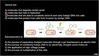 Vectors and Electroporation Explained [upl. by Anawyt223]