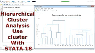 Hierarchical Cluster Analysis Use cluster With STATA 18 [upl. by Parnell]