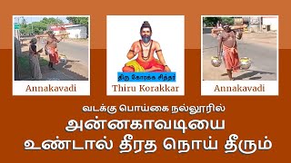 Korakkar Sidhar  Vadakku Poigai Nallur  18 Sidhargal  Annakaavadi [upl. by Llemart]