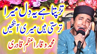 Azam Qadri Naat  Madina Yaad Aata Hai  Data Sound Lahore [upl. by Abixah57]