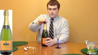 Berberana Gran Tradicion Brut Cava Spanish Sparkling Wine Review Catalonia Spain [upl. by Oinegue]