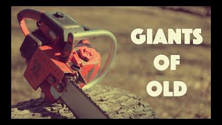 Lets Cut Wood With A Giant Of Old  Homelite Super XL Automatic Chainsaw [upl. by Bertrand197]