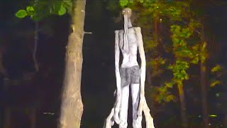 20 Creepiest Things Found in the Wood [upl. by Aborn]