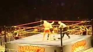 Hulk Hogan vs Ric Flair  Hulkamania Tour in Melbourne 2009  Part 12 [upl. by Glory]