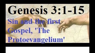 Genesis Chapter 3 Original Sin and the Protoevangelium Catholic Bible Study Gen 315 [upl. by Nyad]