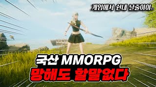 쉰내나는 국산 MMORPG 로한2 솔직한 리뷰 [upl. by Akerdnahs]