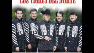 Al Mil Por Uno  Los Tigres Del Norte [upl. by Htebirol]