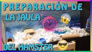 NUEVA JAULA PARA MI HAMSTER [upl. by Norrehc]