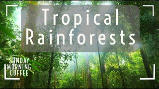 Tropical Rainforests  SUNDAY MORNING COFFEE  AQA GCSE 91 Geography 2021 [upl. by Orvan577]