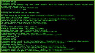 How To Install Seafile with Nginx Web Server on CentOS 7 [upl. by Enilrahc817]