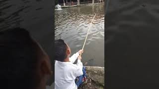 Mancing mania mantap [upl. by Archibaldo]