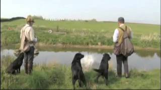 Countrywise  Brocklebank Labradors  John Halsted [upl. by Vashti]