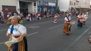 DANZA DE GUARECITAS FRACCIONAMIENTO ARBOLEDAS ZAMORA PEREGRINACIONES GUADALUPANAS 2024 [upl. by Politi]