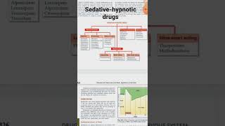 Sedative hypnotic drugs classificationpharmacology benzodiazepines pharmaceutical chemistry [upl. by Napra]