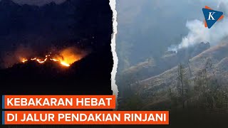 Detikdetik Api Membakar Lahan di Rinjani Jalur Pendakian Ditutup [upl. by Brecher]