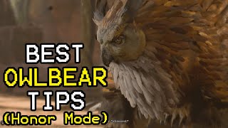 How to Beat the Owlbear in Baldurs Gate 3 HONOR MODE [upl. by Eugenia]