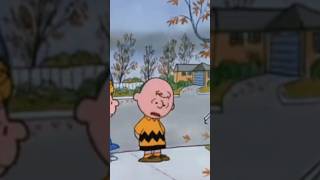 Charlie Brown Thanksgiving Special [upl. by Lantha558]