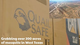 CAT 330FL Grubbing Mesquite Trees in West Texas The Impact of Mesquite and a Wild Conspiracy [upl. by Forsta928]