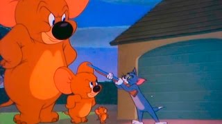 Tom and Jerry  Episode 74  Jerry and Jumbo 1951 [upl. by Frida]