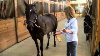 Absorbine Veterinary Liniment  Treat Lameness In Horses [upl. by Hamirak]