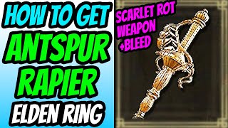 How To Get amp Use Antspur Rapier in Elden Ring Antspur Rapier Location Guide Bleed Build Setup [upl. by Hoffmann]