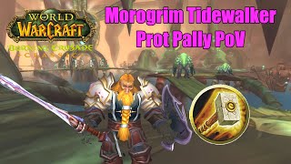 Morogrim Tidewalker Prot Paladin PoV  TBC Classic Phase 2 [upl. by Sigvard]